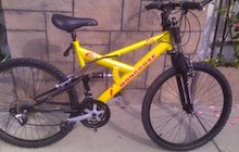 Mongoose D40r