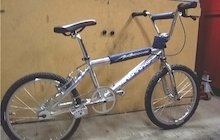 Mongoose Solution