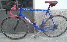 Moser M73