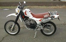 Moto Morini 501 Camel
