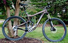 Niner WFO 9