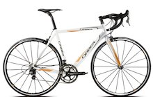 Orbea Arin