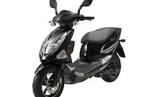 PGO T-Rex 50