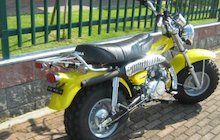 Puma T-Rex 125