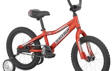 Raleigh Atomic Mini