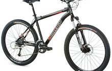 Raleigh Mojave 8.0