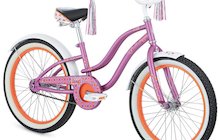 Raleigh Retro 20