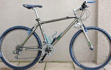 Raleigh Torus Titanium