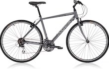 Ridgeback Velocity