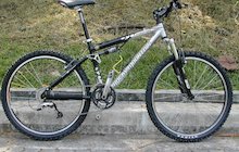 Rocky Mountain Instinct