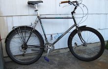 Schwinn Impact
