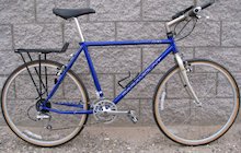 Schwinn Paramount R30