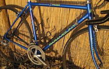 Schwinn PDG Series 3