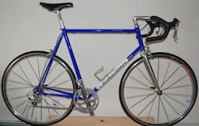 Schwinn Peloton