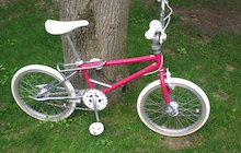Schwinn Predator Freeform Pro