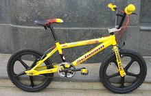 Schwinn Pro Stock SE
