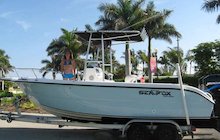 Sea Fox 236CC