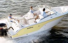 Sea Fox 236DC
