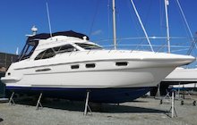 Sealine F43