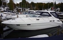 Sealine S41
