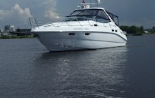 Sealine S42