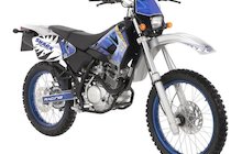 Sherco 125 Enduro Shark Replica