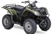 Suzuki Ozark 250