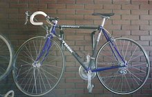 Trek 2300 Composite