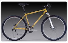 Vicious Cycles Mambo Sun