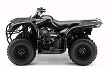 Yamaha Big Bear 250