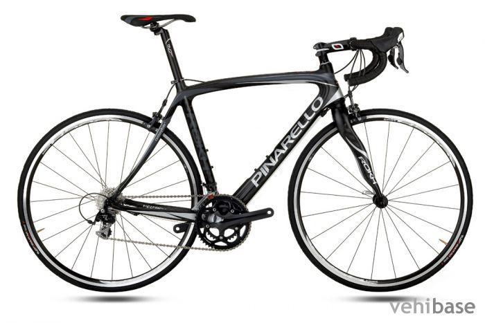 Pinarello Rokh