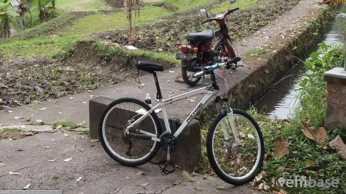 Polygon Cozmic CX 4.0