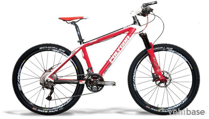 Polygon Cozmic RX 1.0