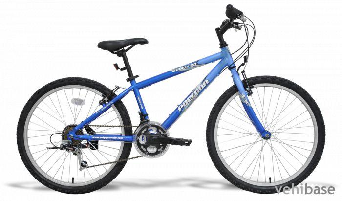 Polygon Junior 24