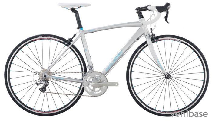 Raleigh Capri 3.0