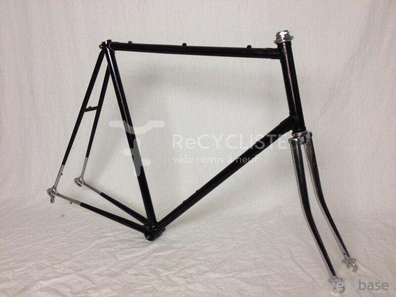 Raleigh Competition GS