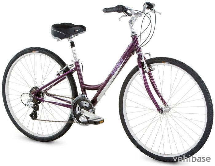 Raleigh Detour 3.5