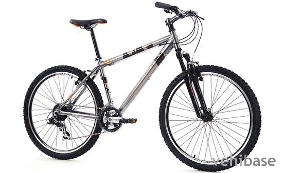 Raleigh Freeride AT20