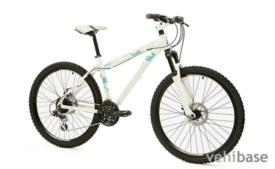 Raleigh Freeride AT30 W