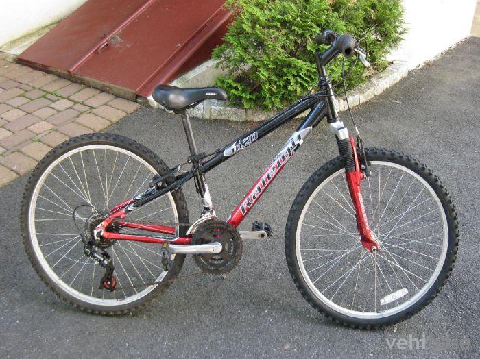 Raleigh M20
