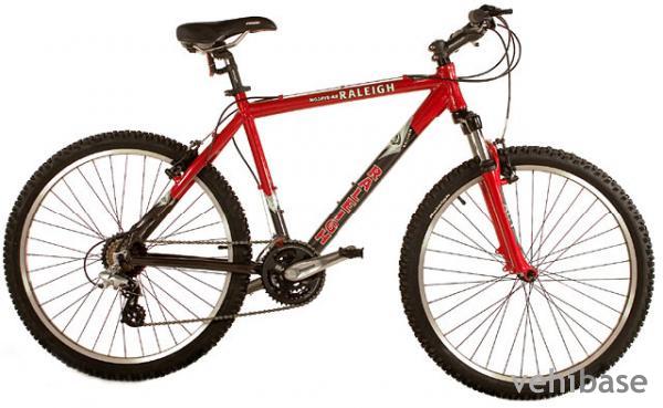 Raleigh Mojave 4.5