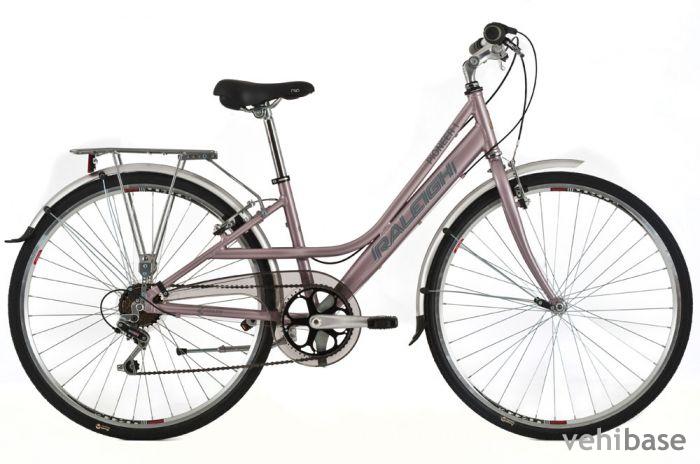 Raleigh Pioneer 1 W