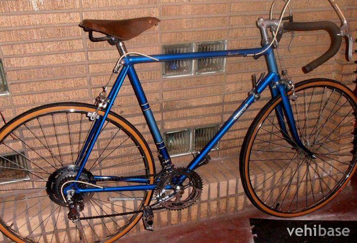 Raleigh Record