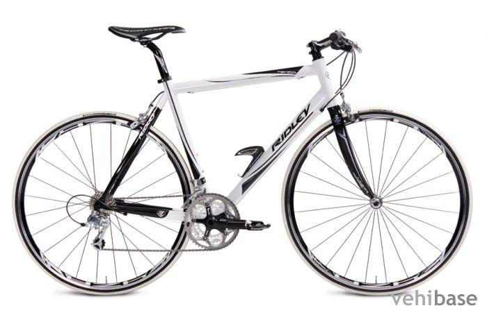 Ridley Tempo Men