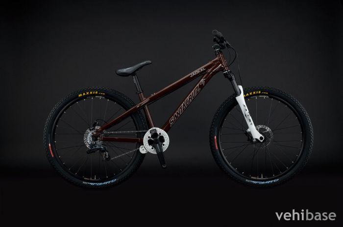Santa Cruz Jackal