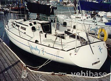 Santa Cruz SC40