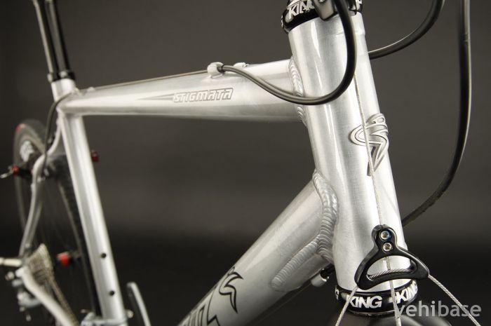 Santa Cruz Stigmata