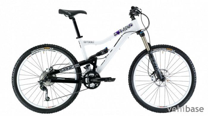 Saracen Ariel 1