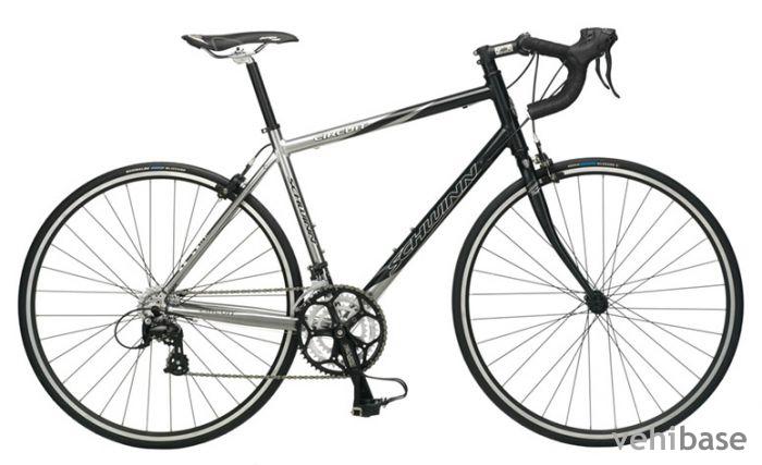 Schwinn Circuit