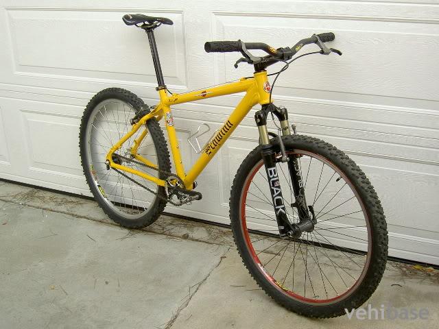 Schwinn Homegrown Comp